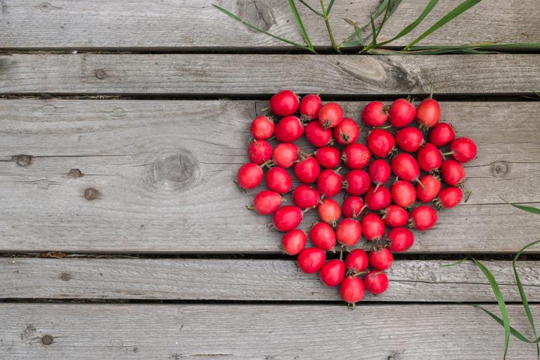 Red heart of hawthorn berries on a wooden background.